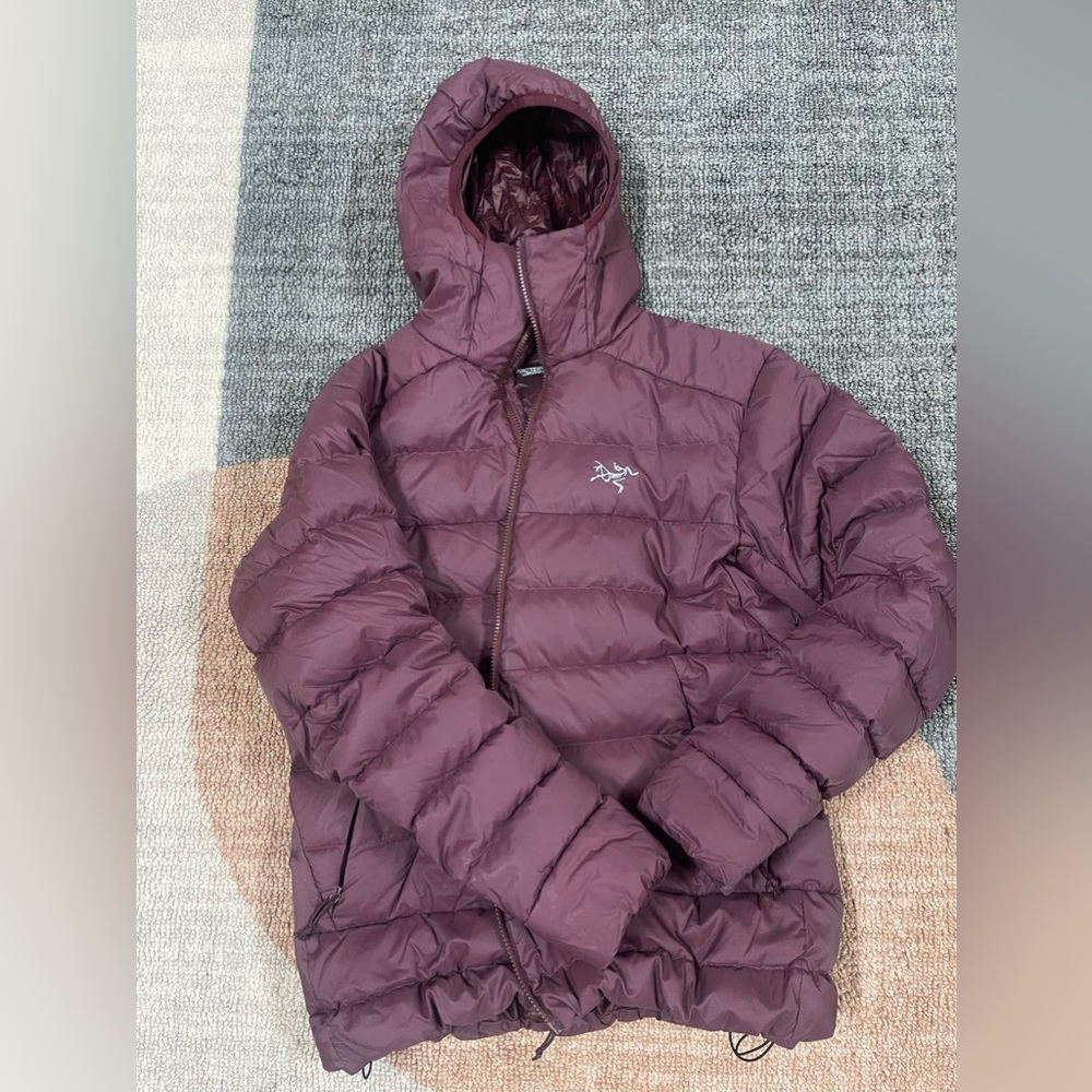 Arcteryx Jacket